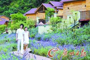 牽著手走在薰衣草田上或在溫泉池中戲水，都很浪漫。