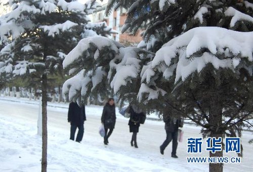 哈爾濱、大慶降下今年入冬以來第一場雪