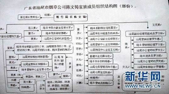 圖為廣東省汕尾市煙草專賣局局長陳文鑄家族成員組織結(jié)構(gòu)圖（1月13日攝）。新華社記者 劉大江 攝