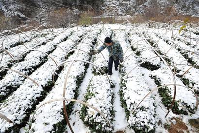 青島昨氣溫破冰點(diǎn)迎首場雪 2日雪景將再現(xiàn)