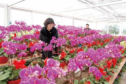青島今年辦年貨多掏3成錢(qián) 菜肉海鮮水果市場(chǎng)白熱化