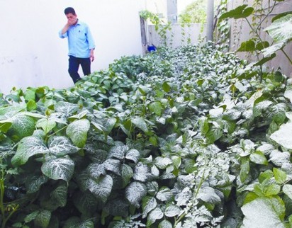 亨斯邁染料廠大罐泄漏 氣味刺鼻致喉嚨難受 亨斯邁染料廠大罐泄漏 氣味刺鼻致喉嚨難受