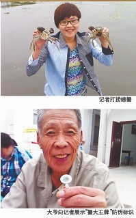 陽(yáng)澄湖大閘蟹開湖:吐沙吐一天 蟹商幾小時(shí)賣數(shù)千斤