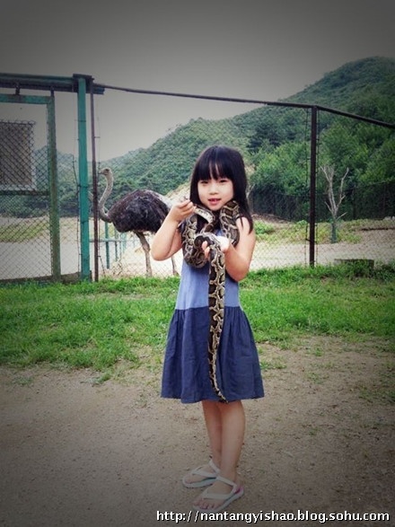 高曉松5歲女兒近照曝光 巨蛇纏脖搞怪可愛(ài)