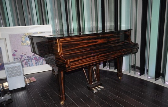 朗朗千萬會所奢華內(nèi)場照首曝光 處處洋溢著藝術的氣息