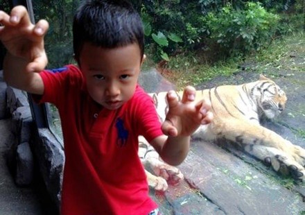 孫悅5歲兒子生活照曝光 CEO老公背景大揭秘