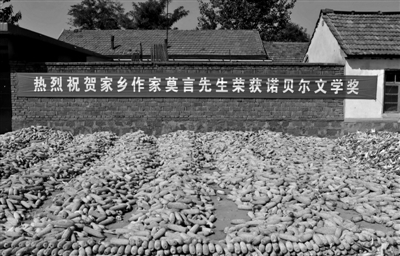 山東高密成中國文學(xué)圣地 游客莫言家菜地偷蘿卜