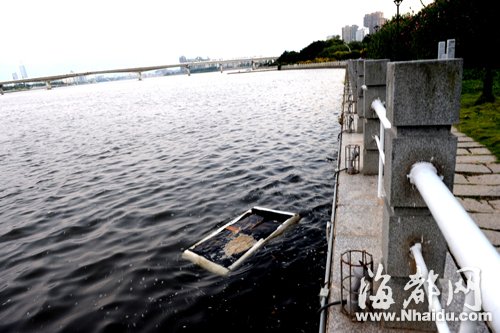閩江公園南園沿線，閩江混雜污水，漂著垃圾，散發(fā)出腥臭。