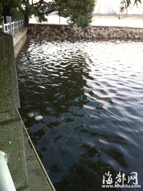 閩江公園南園沿線，閩江混雜污水，漂著垃圾，散發(fā)出腥臭。