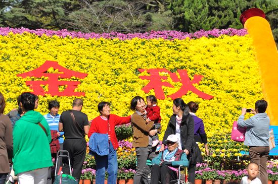 青島中山公園30萬盆菊花爭(zhēng)奇斗艷