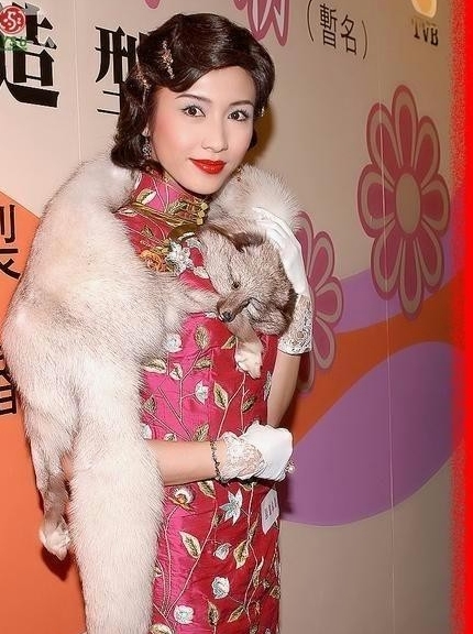 趙雅芝湯唯等眾一線女星演繹旗袍風情 旗袍造型是慘是美眾說紛紜