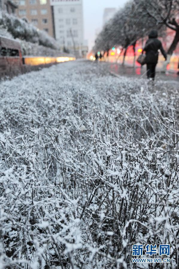 （生態(tài)）（3）內蒙古東部、東北大部遭遇寒潮降雪天氣