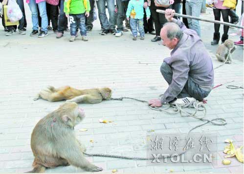 　　耍猴人當(dāng)街暴打猴子，引起圍觀市民的反感。(豎戈攝)