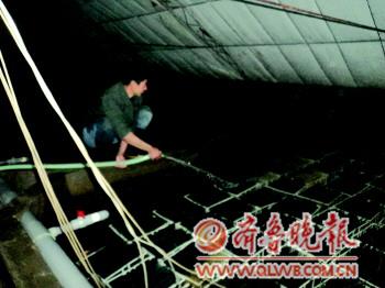 水產(chǎn)品奇葩越冬法:海參烤鍋爐多寶魚喝特供 1月10萬(wàn)度電