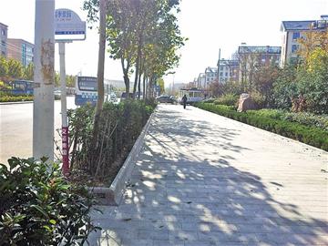 勁松三路打造最好人行道 勁松三路打造最好人行道
