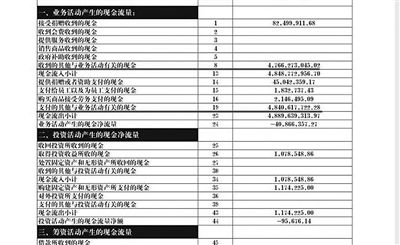 舉報(bào)人周筱赟貼出的中華兒慈會(huì)2011年財(cái)務(wù)報(bào)表，并標(biāo)出可疑項(xiàng)目。網(wǎng)絡(luò)截圖