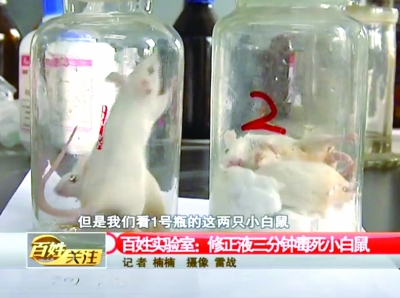 4三分鐘后，修正液瓶中的小白鼠死亡
