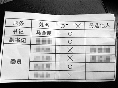 部分黨員提供的“選票”。新京報(bào)記者 劉珍妮 攝