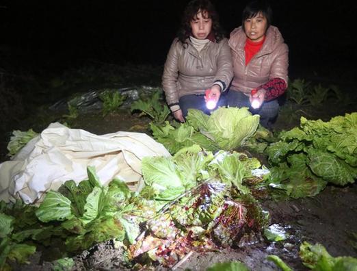 湖南發(fā)生校園慘案 校長護學(xué)生被砍死