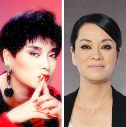 90年代內地紅歌星今昔照片對比
