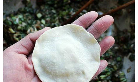 12種餃子包法走紅網絡 向日葵餃子引驚嘆