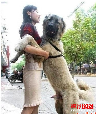 送給你 無聊的生活需要亮點(diǎn)