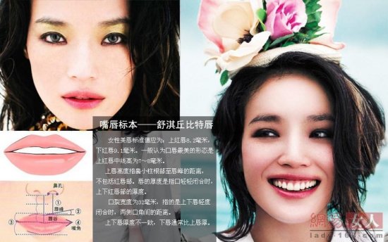 2013娛樂(lè)圈整容新標(biāo)本：甄嬛眼柳巖胸舒淇嘴 
