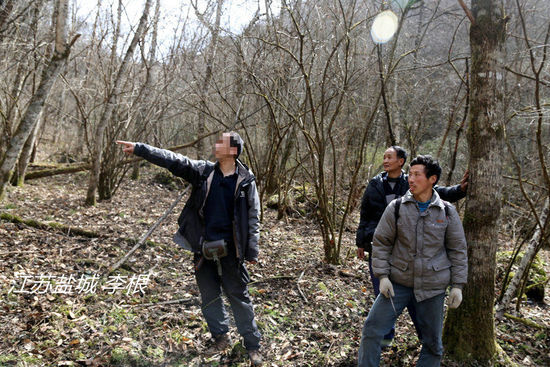 2013年3月4日，陜西省安康市鎮(zhèn)坪縣，隨周正龍上山人員研究尋虎方案。李根/CFP