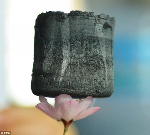 由浙江大學(xué)教授開發(fā)的石墨稀氣凝膠體,可可穩(wěn)穩(wěn)地立于一朵花的花瓣上。