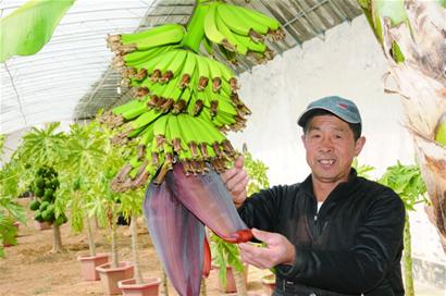 北方安家南方水果樂不思蜀 北方安家南方水果樂不思蜀