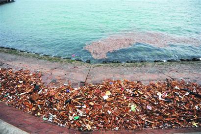 海上皇宮西側(cè)海面漂浮50米長(zhǎng)垃圾帶