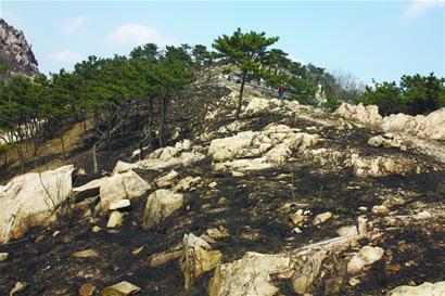 浮山昨起大火過火上千平 種樹娘子軍變消防員 浮山昨起大火過火上千平 種樹娘子軍變消防員