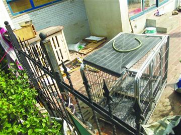 女子遭三只藏獒圍攻 女子遭三只藏獒圍攻