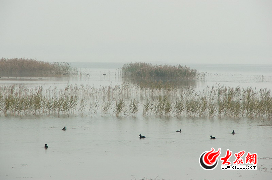 峽山湖國家濕地公園注重對自然環(huán)境的保護，公園的生物多樣性十分豐富，是我國內(nèi)陸候鳥遷徙通道上的重要驛站和棲息地