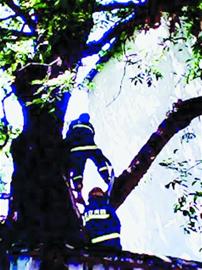 青島連續(xù)6天35℃以上 未來一周無大雨情 青島連續(xù)6天35℃以上 未來一周無大雨情