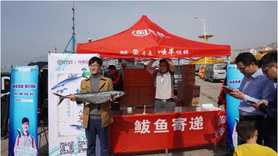 今年的沙子口鮮鲅魚僅售15天 盡孝要趁早！