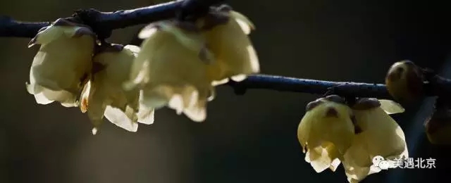 1498528343560303.jpg 1498528343560303.jpg