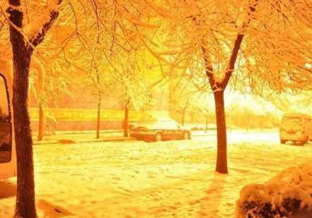 北京發(fā)罕見暴雪藍(lán)色預(yù)警 40小時雨雪降水超歷史