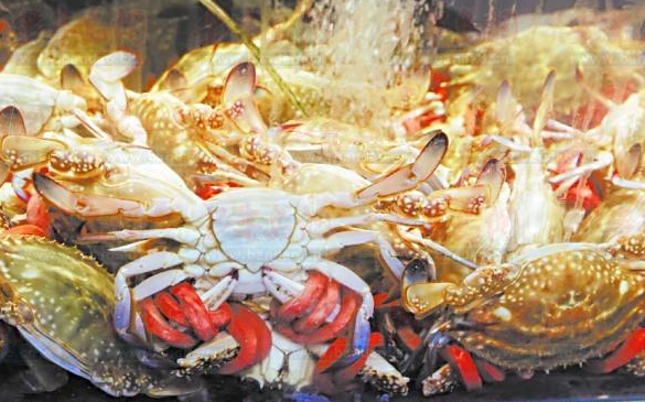 佳世客超市買(mǎi)螃蟹遇煩惱 千元蟹子皮筋370元